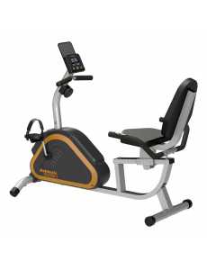 BICICLETA FIJA MAGNETICA HORIZONTAL ATHLETIC 300BH Novedad 2024